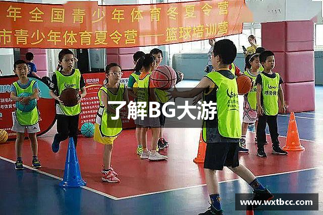 了解BG大游